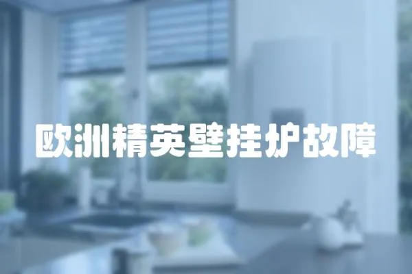 歐洲精英壁掛爐故障