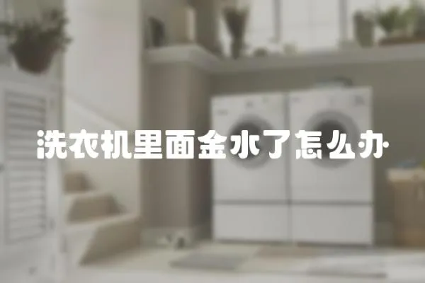 洗衣機里面金水了怎么辦