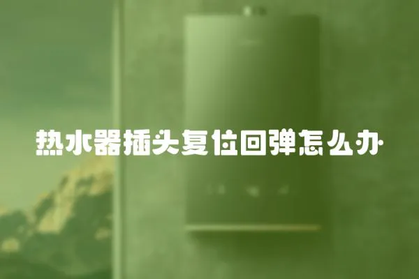 熱水器插頭復位回彈怎么辦