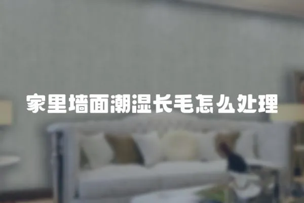 家里墻面潮濕長毛怎么處理