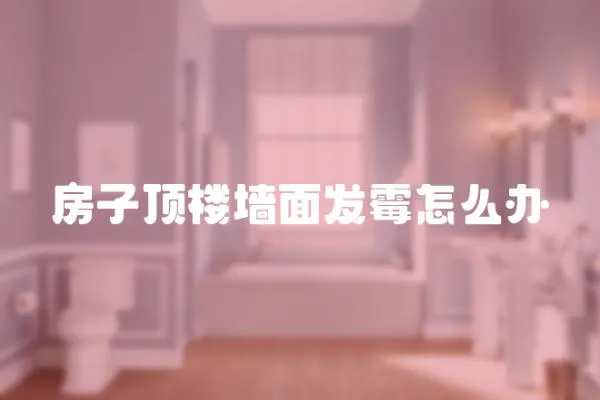 房子頂樓墻面發霉怎么辦