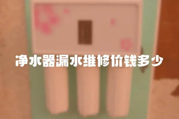 凈水器漏水維修價錢多少