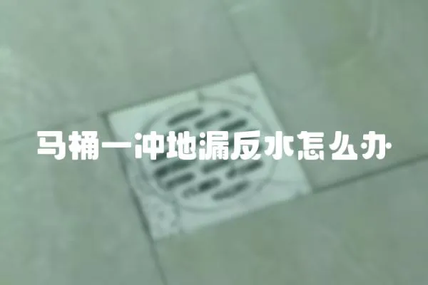 馬桶一沖地漏反水怎么辦