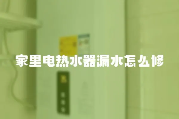家里電熱水器漏水怎么修