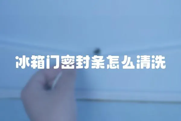 冰箱門密封條怎么清洗