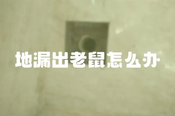 地漏出老鼠怎么辦