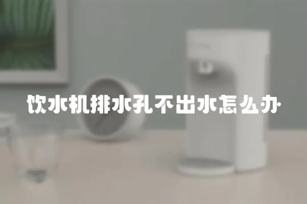 飲水機(jī)排水孔不出水怎么辦