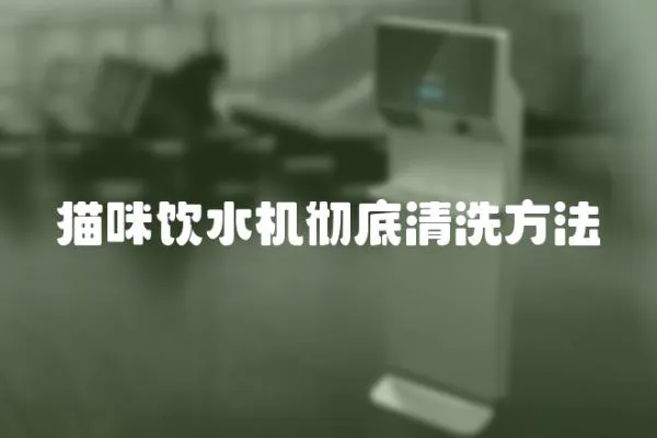 貓咪飲水機徹底清洗方法