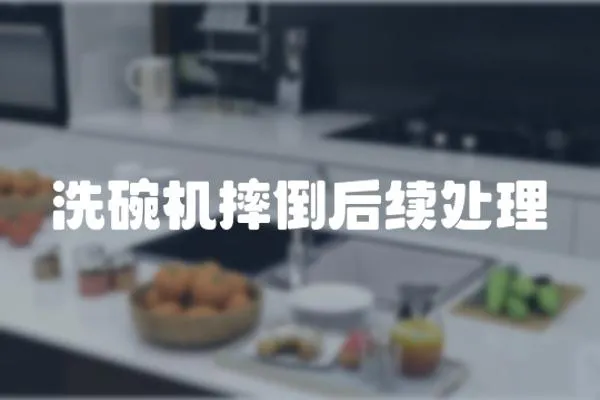 洗碗機摔倒后續處理