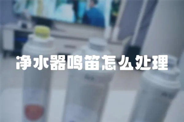 凈水器鳴笛怎么處理