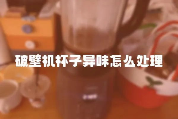破壁機(jī)杯子異味怎么處理
