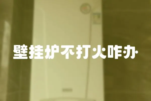 壁掛爐不打火咋辦