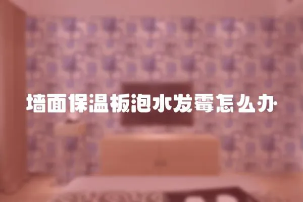 墻面保溫板泡水發霉怎么辦