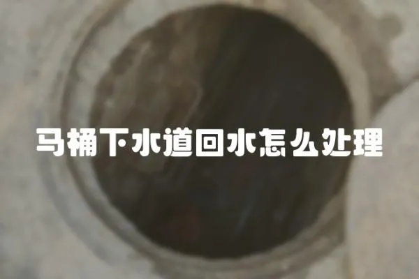 馬桶下水道回水怎么處理