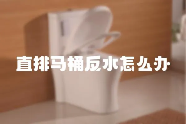 直排馬桶反水怎么辦