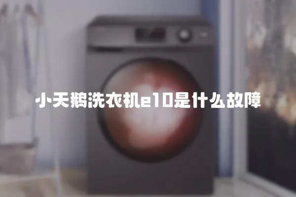 小天鵝洗衣機e10是什么故障