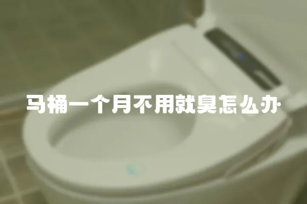 馬桶一個月不用就臭怎么辦