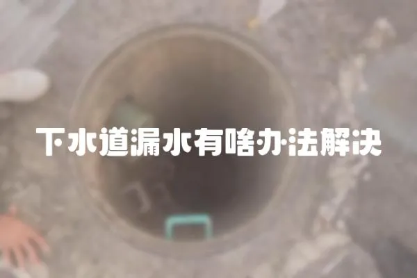 下水道漏水有啥辦法解決