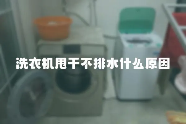 洗衣機甩干不排水什么原因