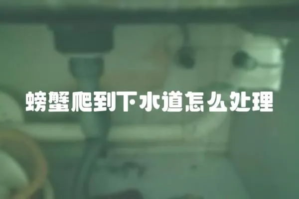 螃蟹爬到下水道怎么處理