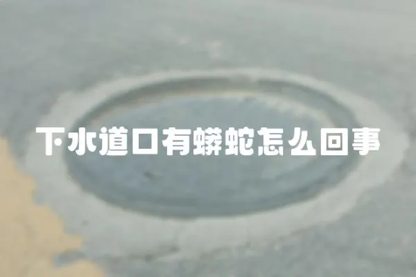 下水道口有蟒蛇怎么回事