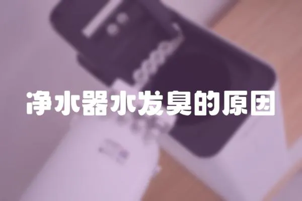 凈水器水發臭的原因