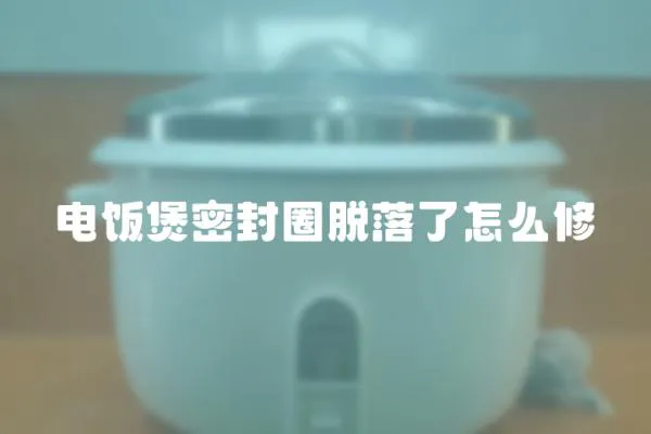 電飯煲密封圈脫落了怎么修