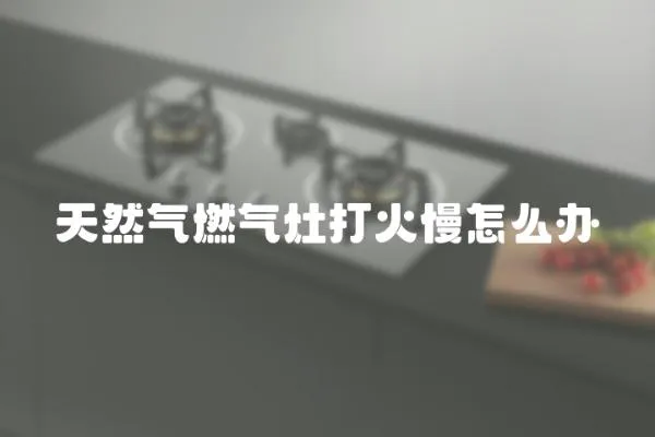 天然氣燃氣灶打火慢怎么辦