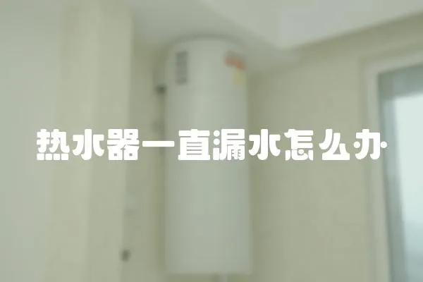 熱水器一直漏水怎么辦