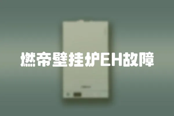 燃帝壁掛爐EH故障