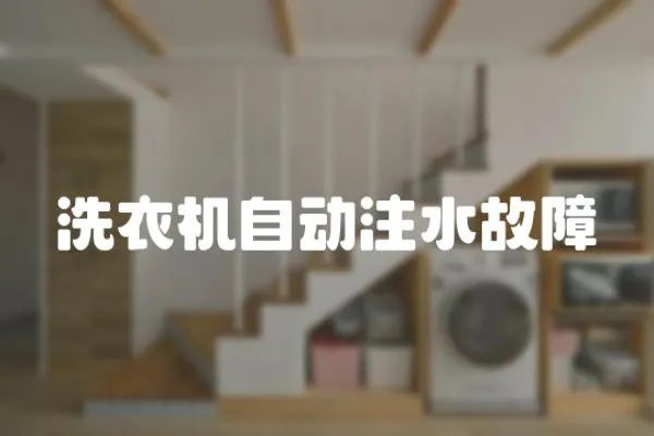 洗衣機(jī)自動(dòng)注水故障