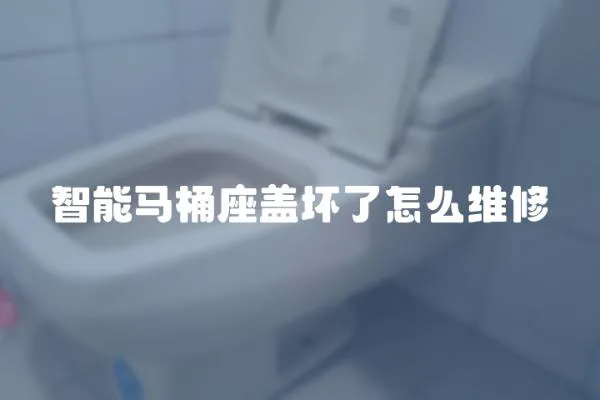 智能马桶座盖坏了怎么维修