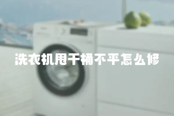 洗衣機甩干桶不平怎么修