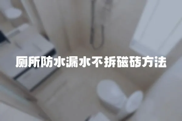 廁所防水漏水不拆磁磚方法