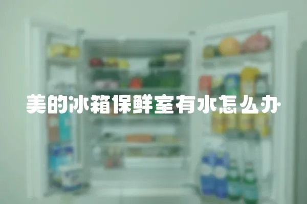 美的冰箱保鮮室有水怎么辦