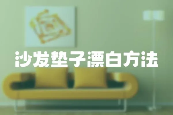 沙發墊子漂白方法