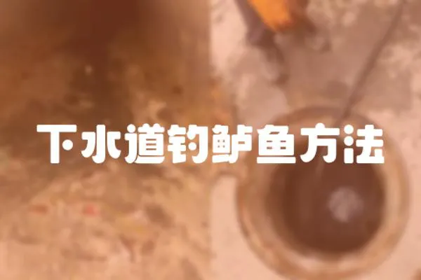 下水道釣鱸魚方法