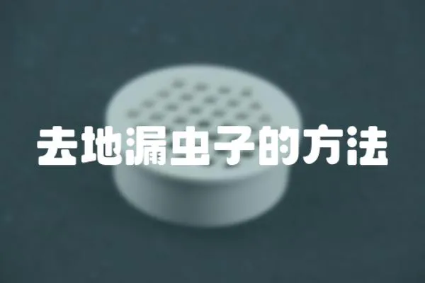 去地漏蟲(chóng)子的方法
