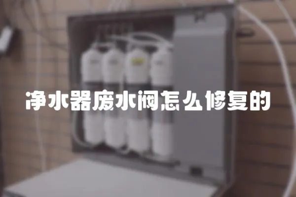 凈水器廢水閥怎么修復(fù)的