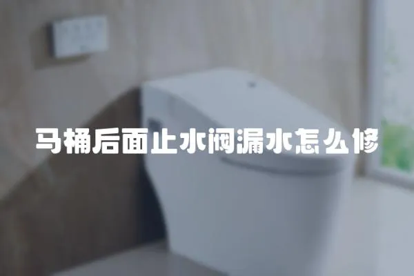 馬桶后面止水閥漏水怎么修