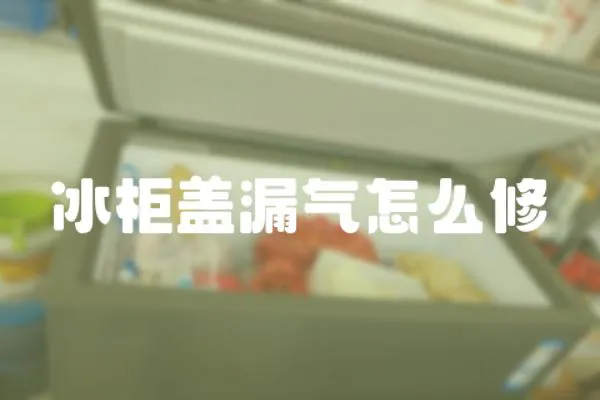 冰柜蓋漏氣怎么修