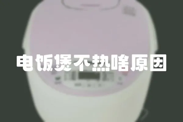 電飯煲不熱啥原因
