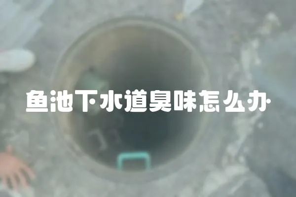 魚池下水道臭味怎么辦
