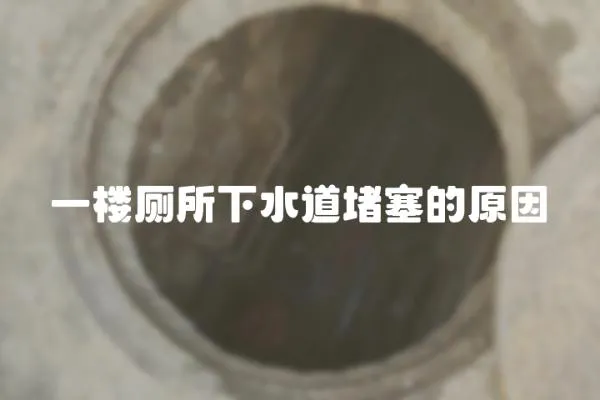 一樓廁所下水道堵塞的原因