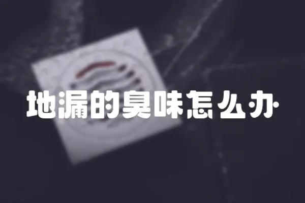 地漏的臭味怎么辦
