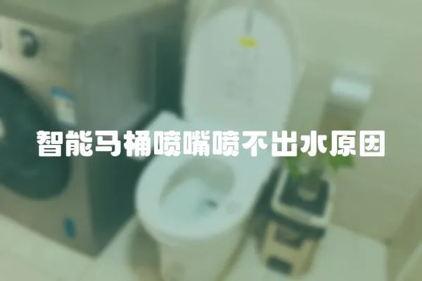 智能馬桶噴嘴噴不出水原因
