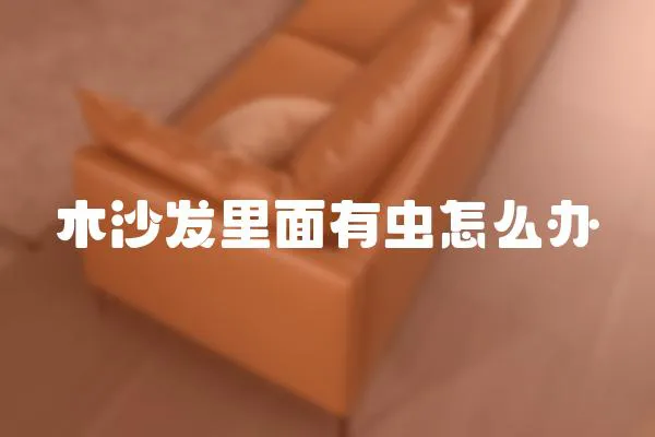 木沙發(fā)里面有蟲怎么辦