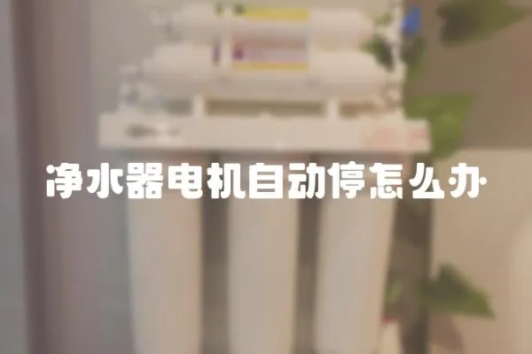 凈水器電機自動停怎么辦