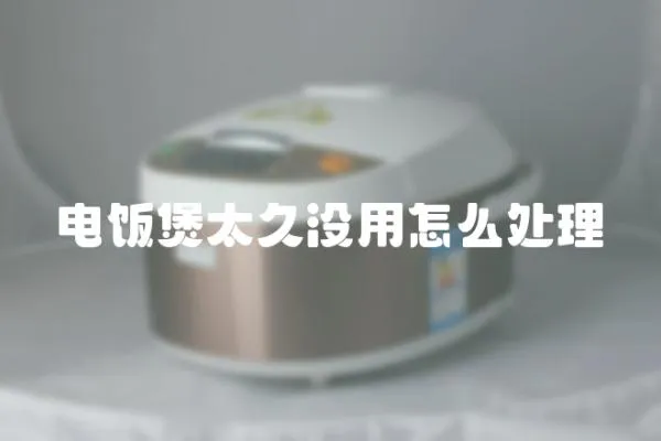 電飯煲太久沒用怎么處理