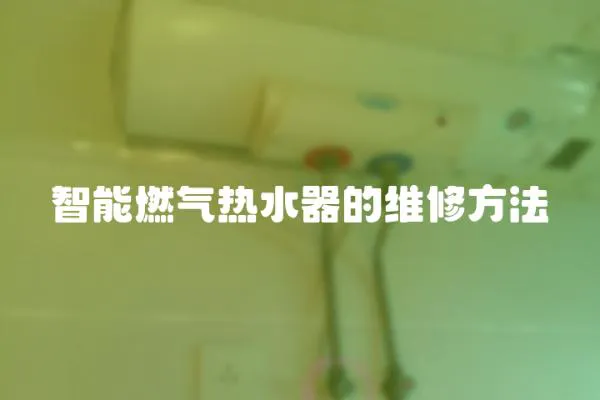 智能燃氣熱水器的維修方法